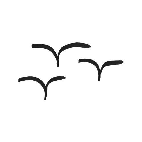 birds.jpg